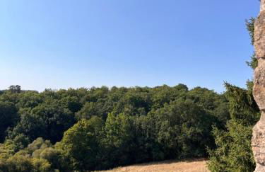 L'îlot Zen - Maison de charme en pierre - rénové - Photo 21