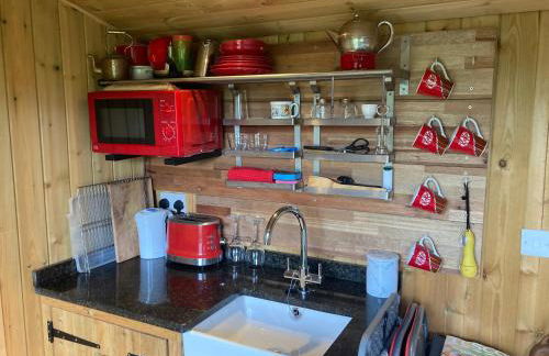 The Shepherd's Hut with cozy logburner - Foto 20