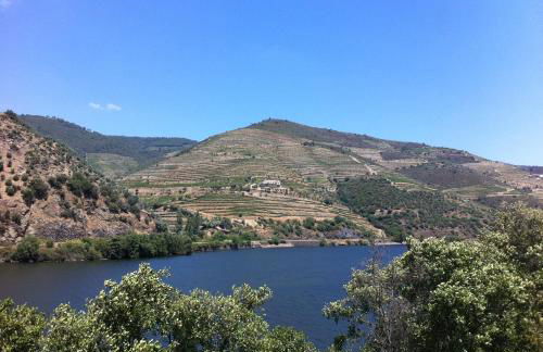 Quinta da Marka - Foto 14