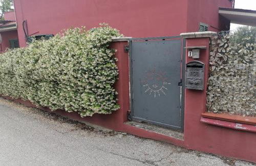 La vie en rose - Photo 51