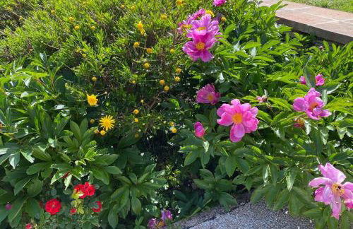 Gîte du Mercadal Les Pujols - Foto 80