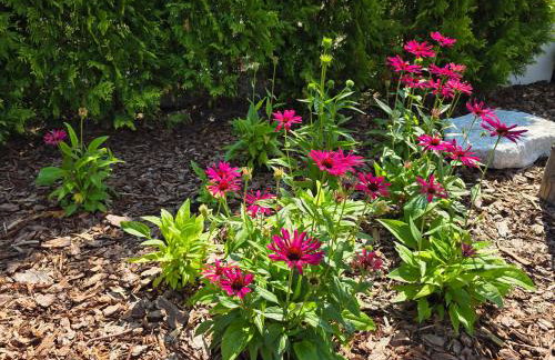 Komfortowy Dom Całoroczny - sauna, jacuzzi, bilard - Foto 39