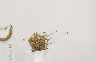 Arriola Txiki - Photo 10