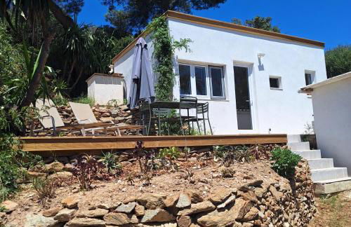 Les Bromélias Ile du Levant - Foto 7