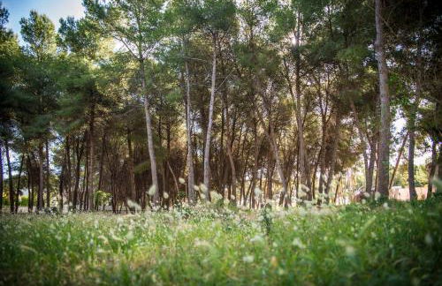 Apartment Beach Inn - Foto 130