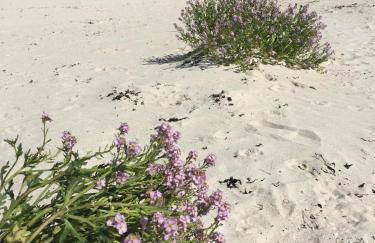 Uig Sands Rooms - Photo 26