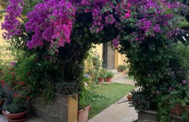 Casa Vacanze La Margherita - Photo 16