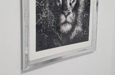 Sunrise Central - Foto 13