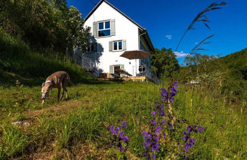 Freistehendes Ferienhaus mit Kamin, Sauna, atemberaubenden Blick ins Tal, mehrere Terrassen, 1500qm Grundstück 1,6m hoch eingezäunt - Foto 1