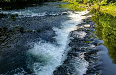 Tree Elements treehouse retreat - Foto 33