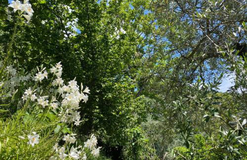 Gauro casa vacanze - Foto 70