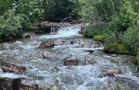 TandAA Cabin- cozy up in the Aspens on the Fairway - Foto 3