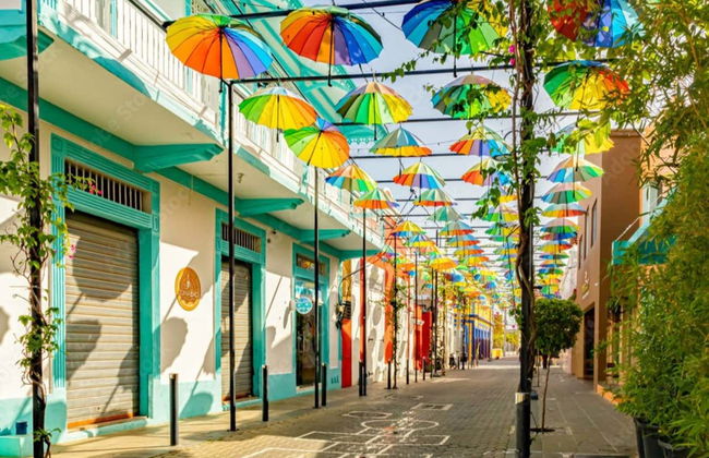 Puerto Plata & Taino Valley Tour - Photo 10