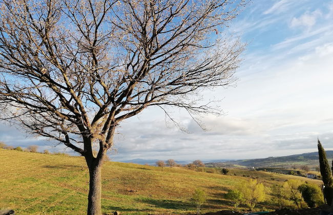 Agriturismo Le Piccole Macie - Photo 46