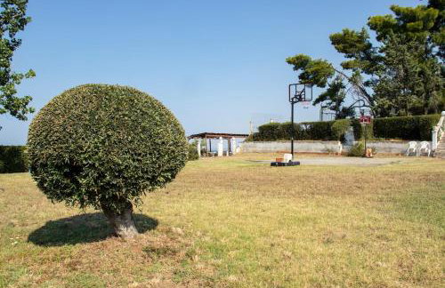 Buena Vista - San Mames - Foto 13