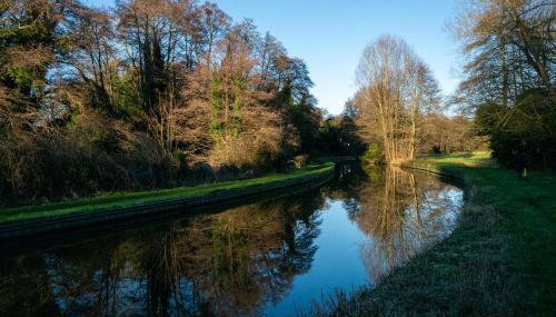 Nature's Lodge - Foto 4