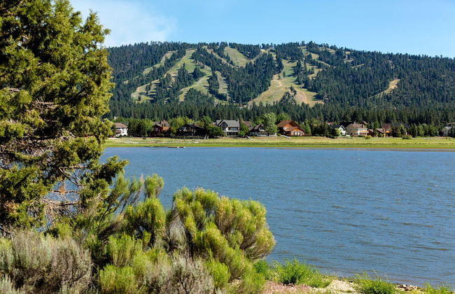 Large Bear Lodge #2488 - Foto 23