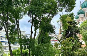 Studio Centre-Ville Nice - Photo 10