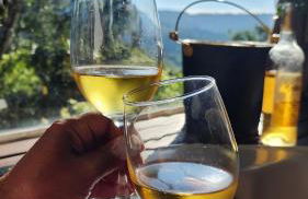 Linda Cabana com Vista Incrível nas Montanhas com Trilha, Cachoeira e Alexa - Photo 21