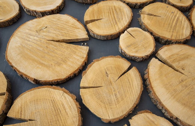 Magnificent Holiday Home for 6 Adults in Xhoffraix - Foto 28