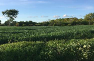 Kate Windeby - Foto 25