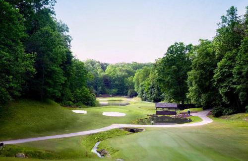 Indoor Pool and Golf Course Views Lake Lure Condo! - Foto 30