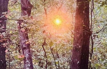 Turkey Creek Cabin Rentals #2 at Tims Ford lake - Foto 44