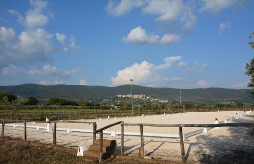 Le Ghiande - Foto 62