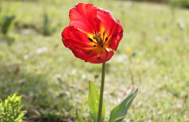 Linda Vista Apart Hotel - Photo 35