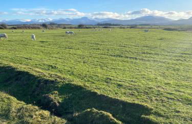 Pen llyn holiday cottages and caravan - Foto 9