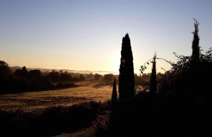 Podere Pievina Delle Corti - Dimora di Campagna - Photo 23