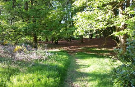 The Old Convent Holiday Apartments - Foto 55