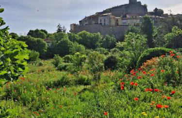 Entre Terre et Mer - Foto 46