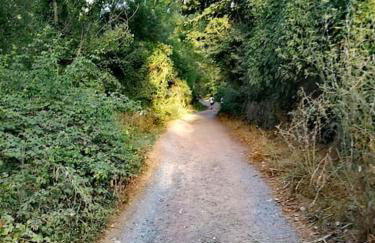 La Casirria - Foto 46