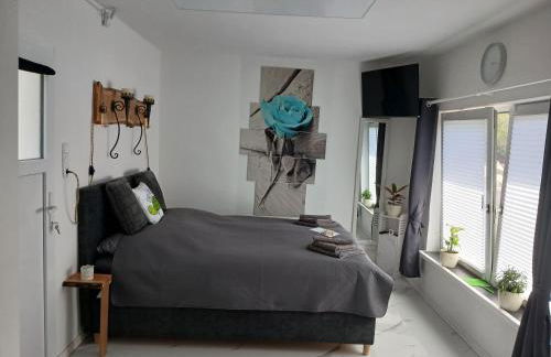 Chillkröte - Foto 52