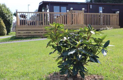 HEDDFAN, Luxury 3 bedroom timber lodge, Now with WiFi, Caer Beris Holiday Park, Builth Wells, SORRY NO TRADESMEN OR CONTRACTORS ALLOWED - Foto 24