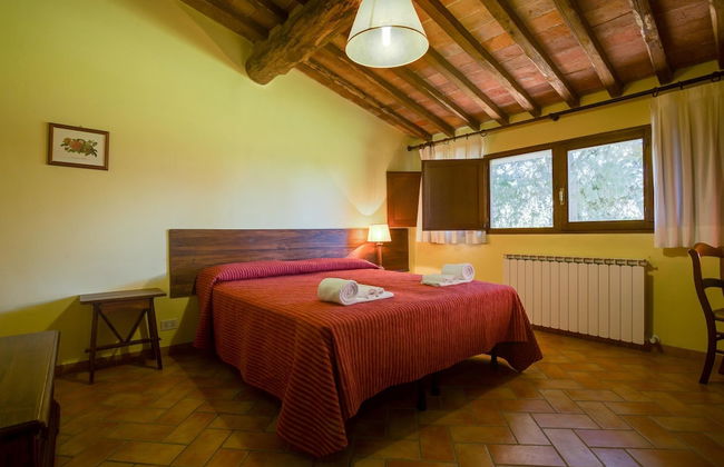 Tenuta di Monaciano - Foto 3