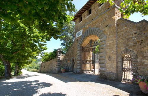 Castello di Cafaggio - Foto 9