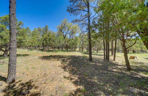 2 Decks, Grill and Wooded Views Happy Jack Cabin - Foto 14