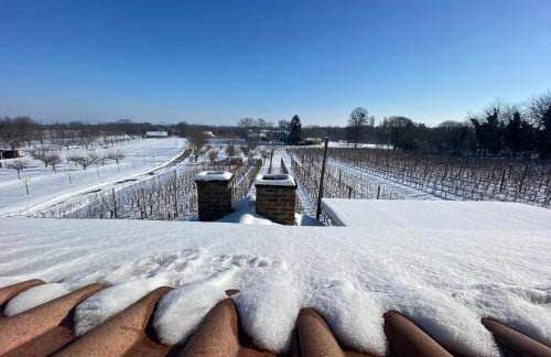 Apartment Wine Tale - Foto 40