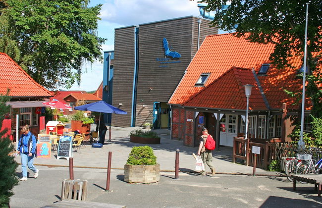 Kalkberg Ferienwohnungen - Foto 72