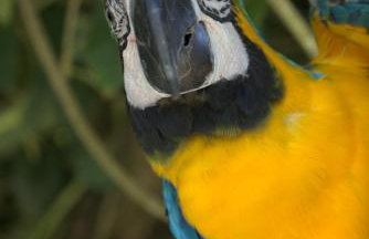 Casa espaçosa famíliar - Foto 14