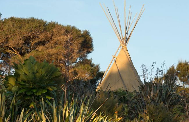 Russell - Orongo Bay Holiday Park - Foto 7