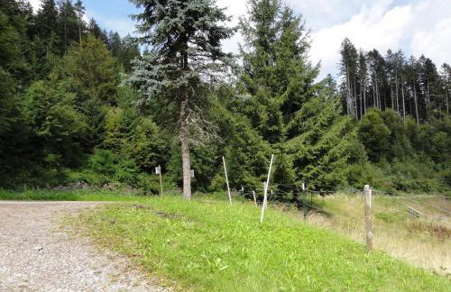 ruhiges Wohnen am Lama und Maine Coon Hof in Alleinlage in Biederbach 3 Zimmer mit Kochgelegenheit Bad - Foto 69