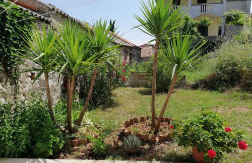 Apartments by the sea Mali Iz (Iz) - 6163 - Foto 9