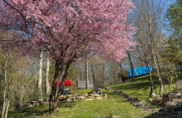 FeWo Kaiserblick - Foto 6