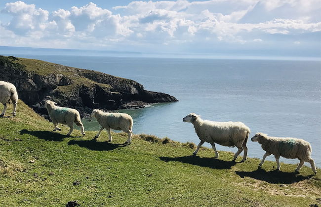 Coach House - Photo 39