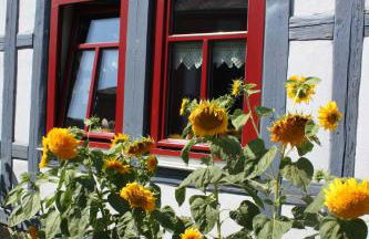 Café Landart im Thüringer Finistère - Foto 10