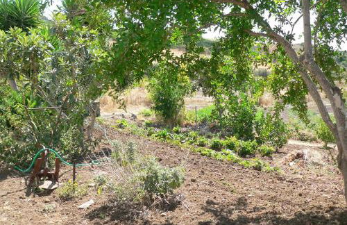 Agriturismo Sa Tanca Noa - Photo 43