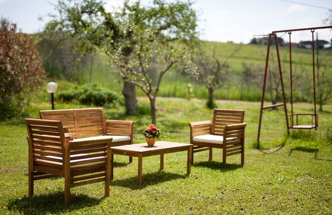 Artemisia negli ulivi B&B - Photo 26